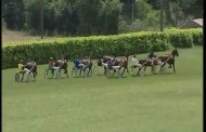 Résultats course école de Villeneuve Sur lot - 05/06/2016