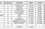 Résultats course école du 25/04 - Cavaillon