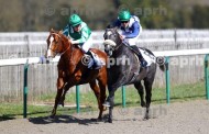[GALOP] Prix Ijockey - Chantilly - 19 mars 2019