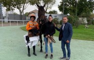 [GALOP] Prix AFASEC - Hippodrome Lyon-La-Soie - 2 octobre 2019
