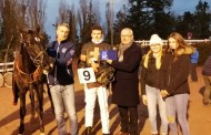[TROT] Hippodrome de Graignes - 17 novembre 2019
