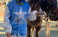 [COURSE ÉCOLE] Prix Ecole des Courses Hippiques - Marseille Vivaux - 7 novembre 2022 - TROT