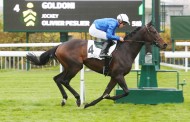 [GALOP] Prix IJockey - Hippodrome de Saint-Cloud - 16 novembre 2021