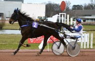 [TROT ATTELÉ]  Prix de l’École des Courses Hippiques - 5 février 2023 - Hippodrome d'Agen