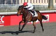 [GALOP] Prix de la STH - 1er mars 2023 - Hippodrome de Chantilly