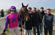 [TROT] 2 mars 2025 - Cherbourg
