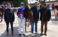 [TROT] 16 mars 2025 - Agen