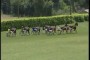 Résultats course école - 08/06/2016 - La Teste