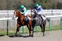 [TROT] Prix École des Courses Hippiques - Mont-de-Marsan  - 31 mars 2019