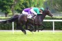 [TROT] Prix École des Courses Hippiques - Hippodrome de Villeneuve-sur-Lot - 26 mai 2019