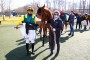 [GALOP] Prix de l’Office de Tourisme de Maisons-Laffitte - Hippodrome de Chantilly - 13 avril 2021