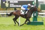 [GALOP] Prix AG2R La Mondiale - Hippodrome de Pau - 8 Décembre 2021