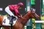 [GALOP] CHALLENGE DES COURSES ECOLE - 5 juin 2022 - Hippodrome de Chantilly