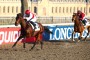 [GALOP] CHALLENGE DES COURSES ECOLE - Prix de la Société des Courses de Marseille-Vivaux - 13 décembre 2022 - Hippodrome de Marseille-Vivaux