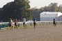 [GALOP] 17 octobre 2023 - Hippodrome de Lyon La Soie