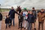 [GALOP] 13 février 2024 - Prix Dynavena avec Zarakem (Écurie Reynier) - Hippodrome de Marseille Borely