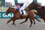 [TROT] 26 février 2025 - Vincennes