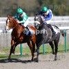 [GALOP] Prix Ijockey - Chantilly - 19 mars 2019