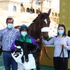 [GALOP] Prix de l’Association des Jockeys    - Hippodrome de Paris Longchamp - 11 juin 2021