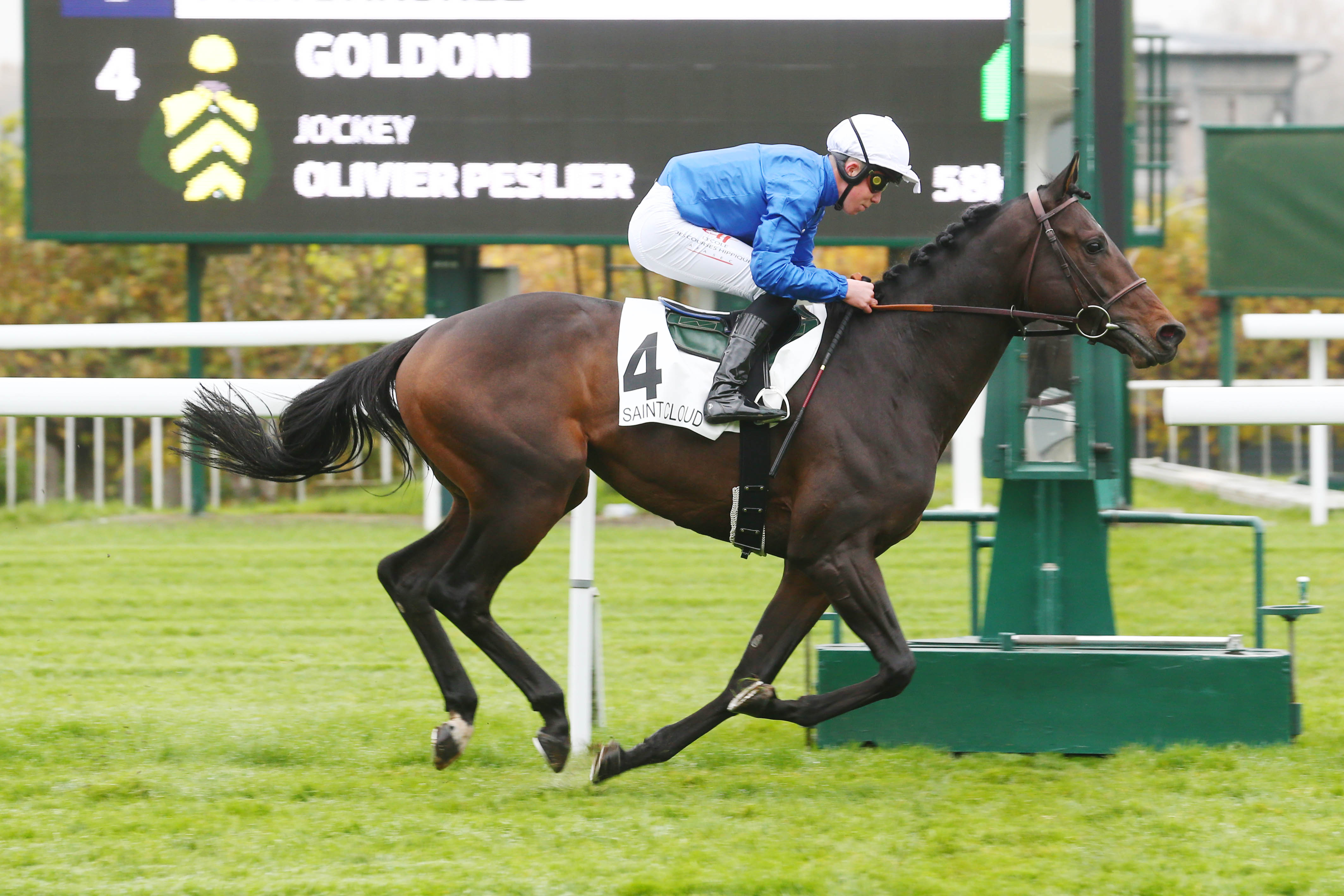 [GALOP] Prix IJockey - Hippodrome de Saint-Cloud - 16 novembre 2021