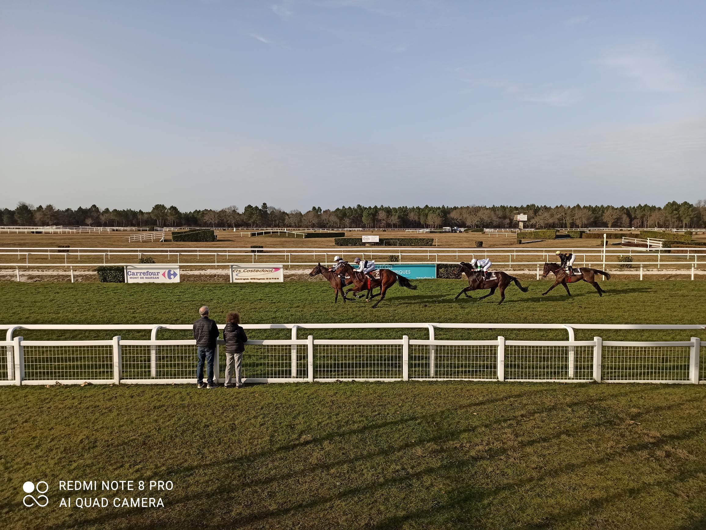 [GALOP] Prix Ecole des Courses Hippiques  - Hippodrome de Mont-de-Marsan - 10 février 2022