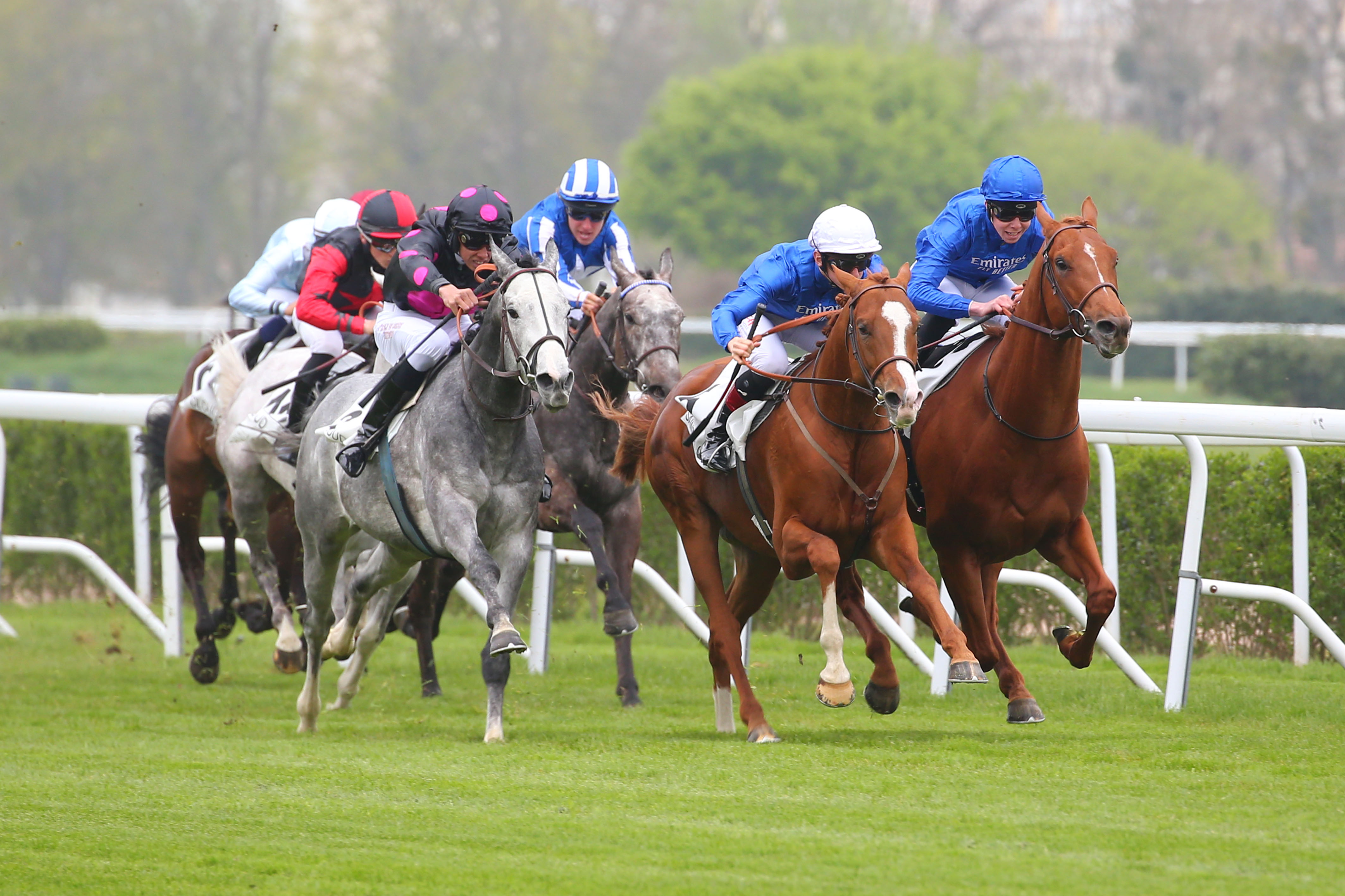 [GALOP] Prix de la STH  - Hippodrome de St Cloud - 29 mars 2022