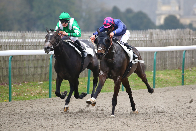 [GALOP] Prix de la MSA  - Hippodrome de Chantilly - 16 mars 2022