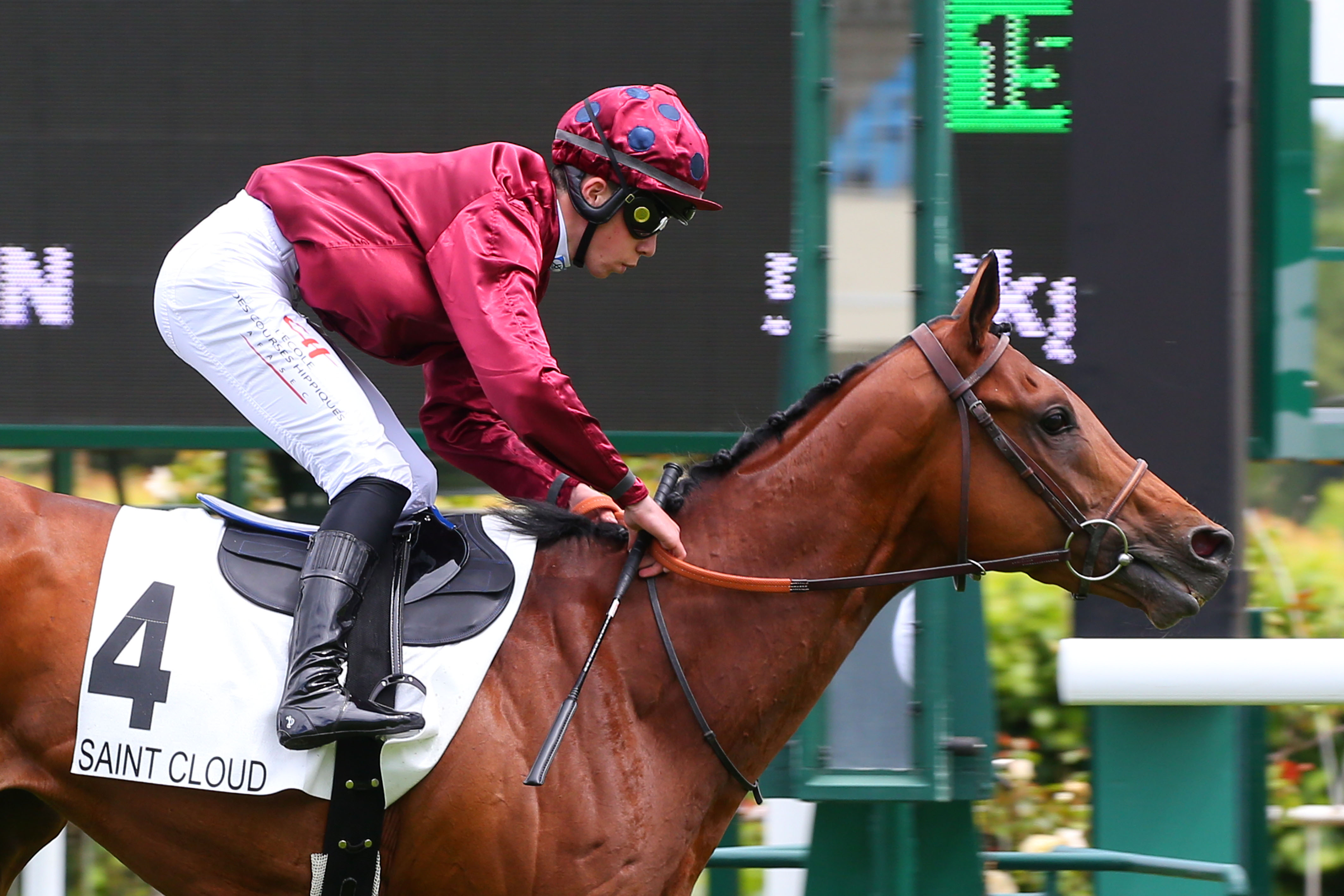 [GALOP] Prix de l'Office de Tourisme de Maisons-Laffitte - 24 mai 2022 - Hippodrome de Saint-Cloud