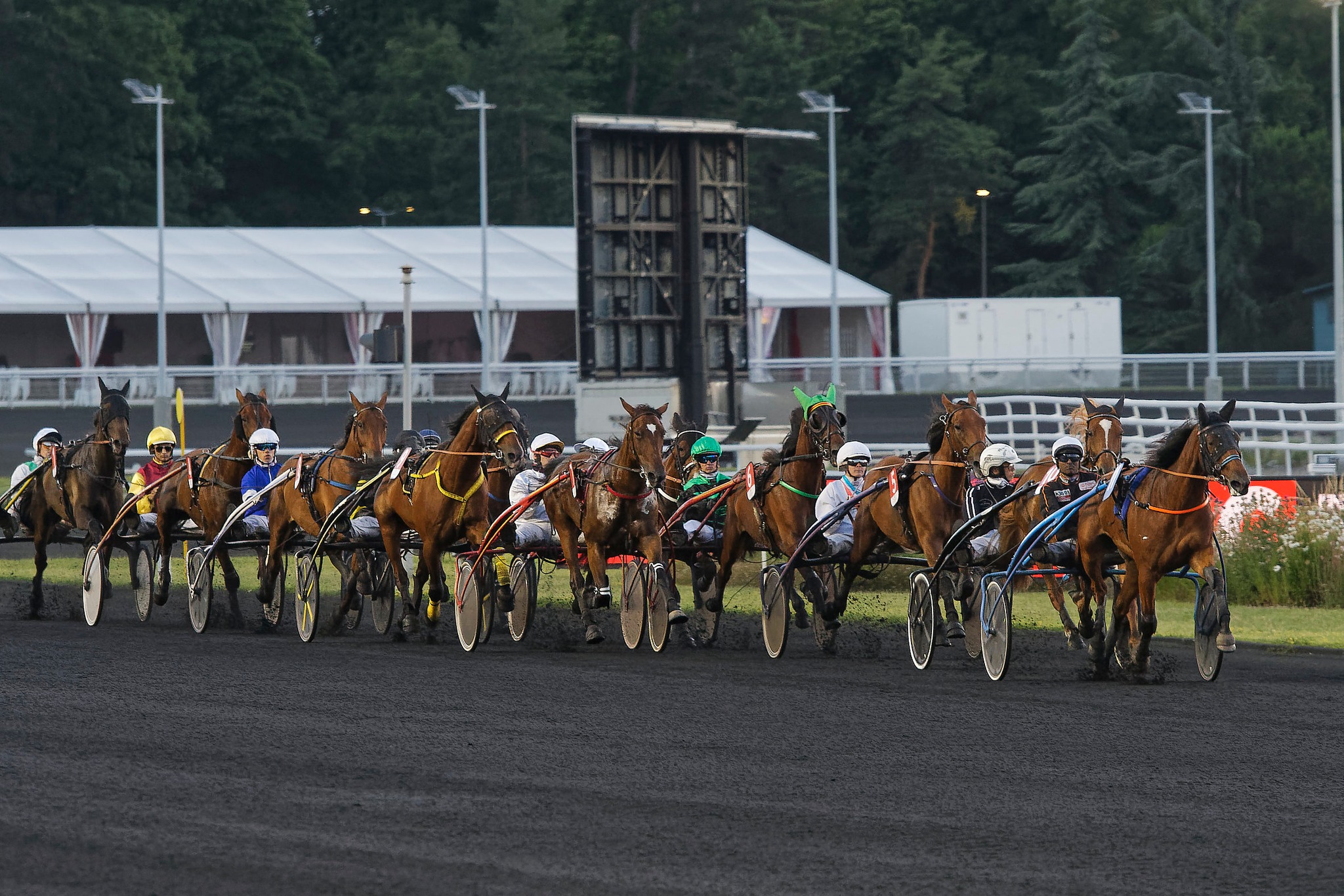 [TROT] CHALLENGE DES COURSES ECOLE - 24 juin 2022 - Hippodrome de Paris-Vincennes