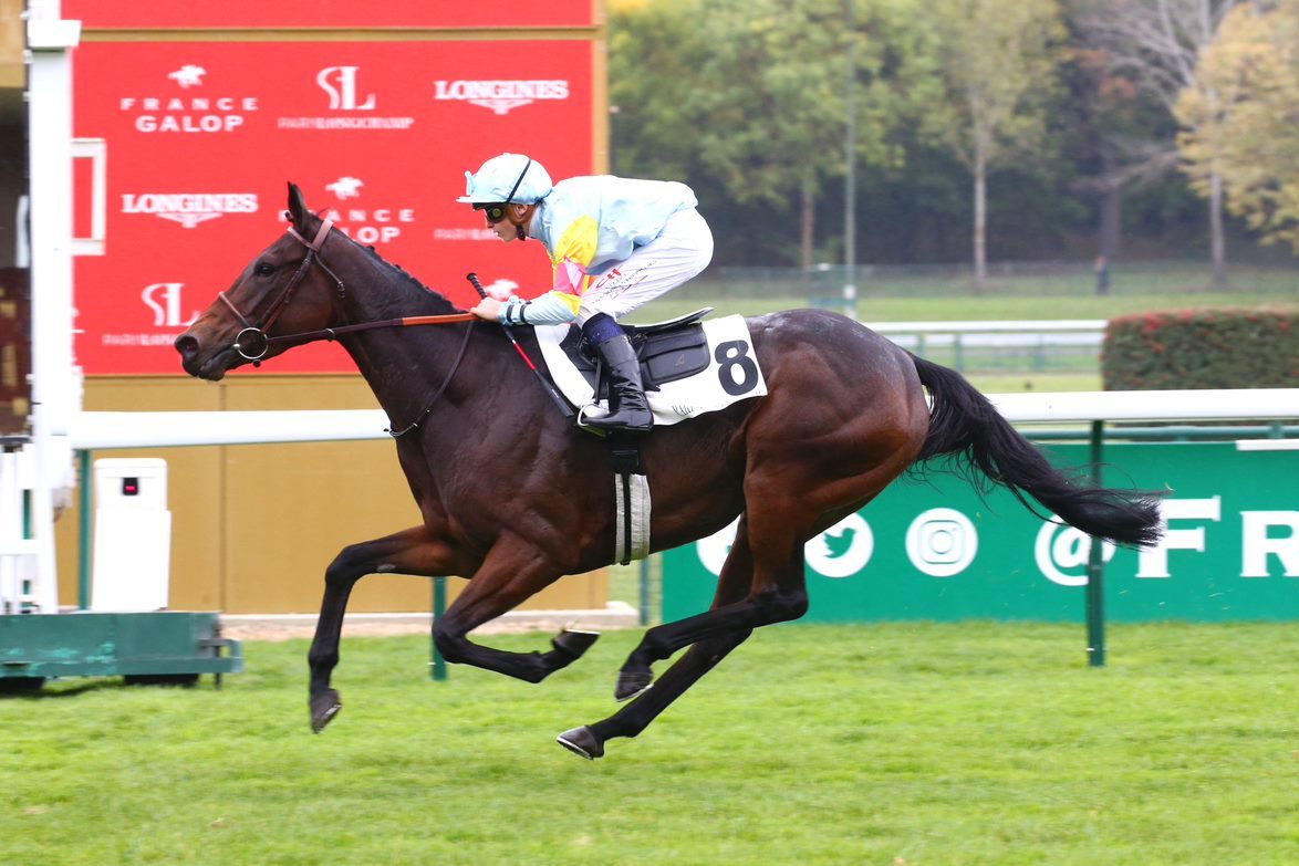 [COURSE ÉCOLE] Prix du Rotary Club de Maisons-Laffitte - Paris-Longchamp - 13 octobre 2022 - GALOP