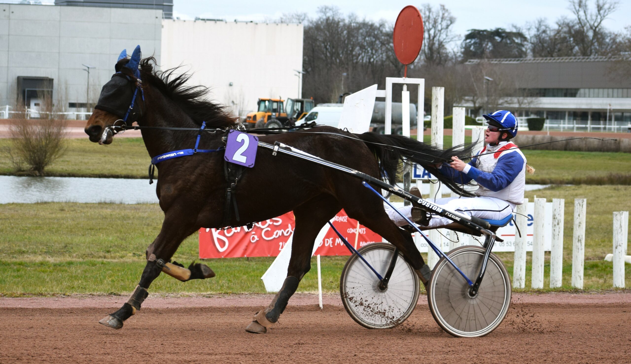 [TROT ATTELÉ]  Prix de l’École des Courses Hippiques - 5 février 2023 - Hippodrome d'Agen