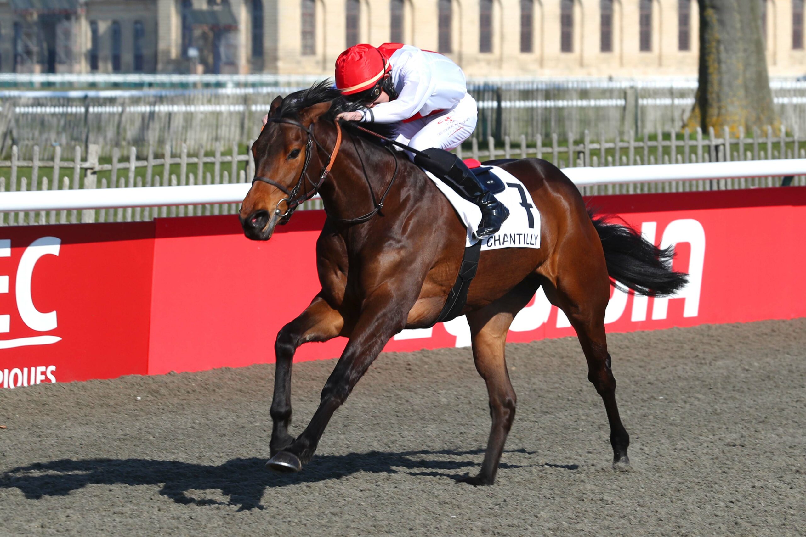 [GALOP] Prix de la STH - 1er mars 2023 - Hippodrome de Chantilly