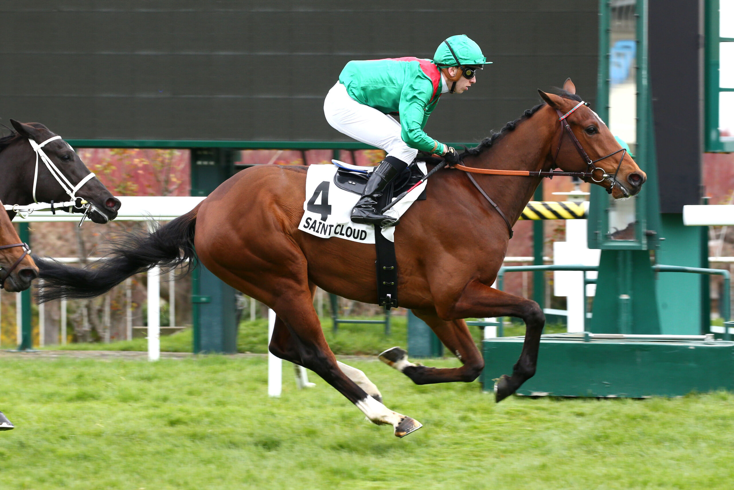 [GALOP] Prix de l’Office de Tourisme de Maisons-Laffitte - 28 mars 2023 - Hippodrome de Saint-Cloud