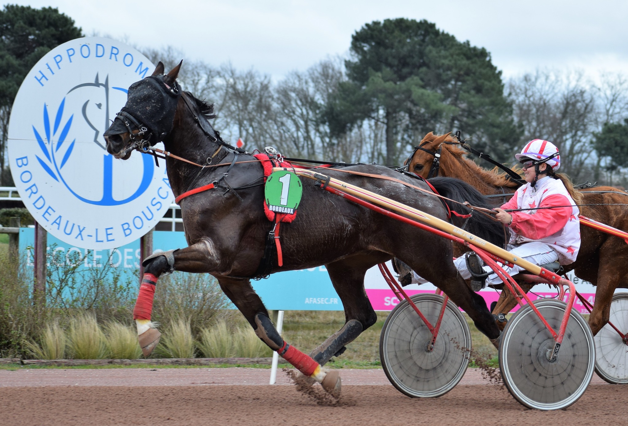 [TROT ATTELE] Prix Ecole des Courses Hippiques AFASEC - 12 mars 2023 - Hippodrome de Bordeaux-Le Bouscat