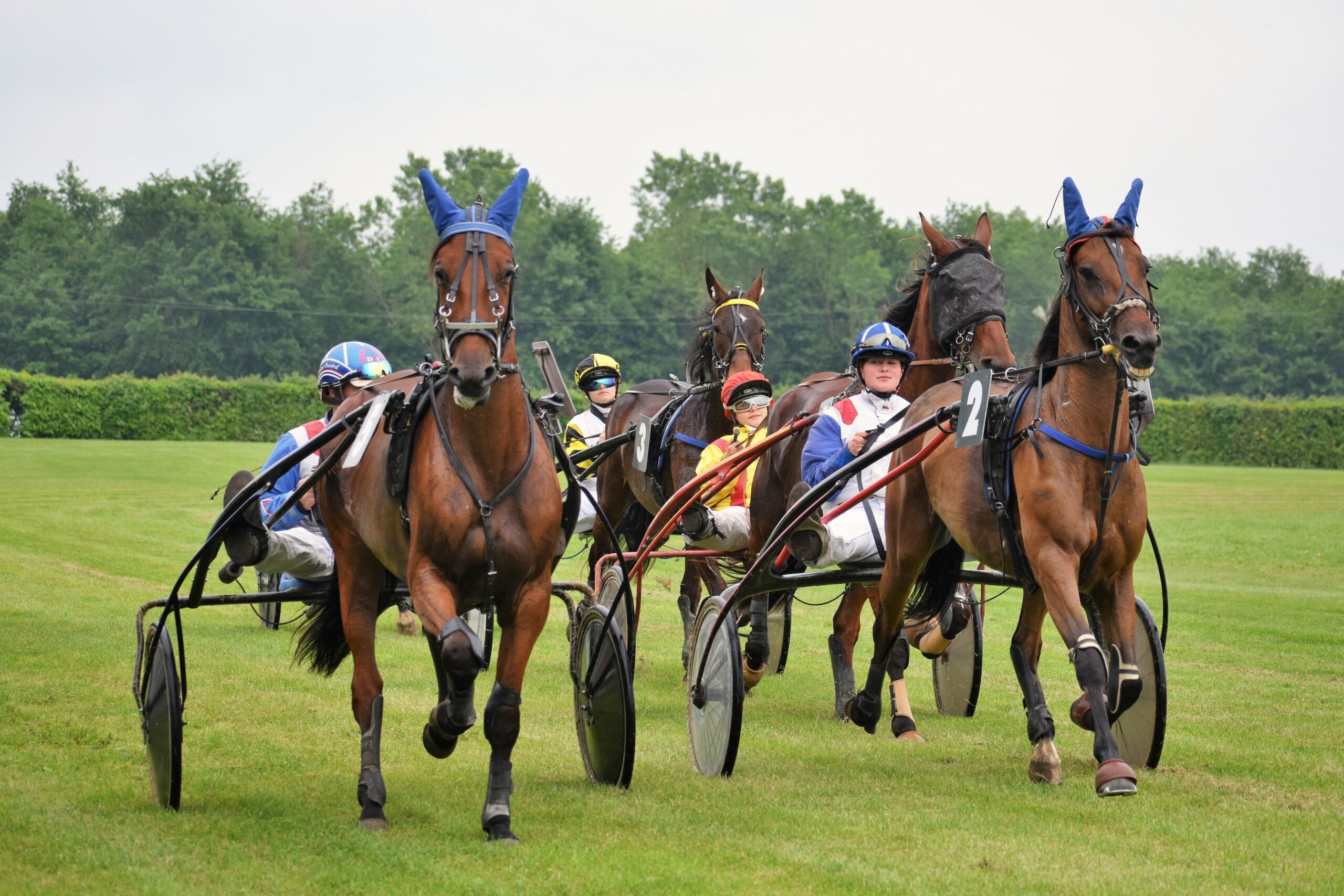 [TROT ATTELE] 21 mai 2023 - Hippodrome de Villeneuve-sur-Lot