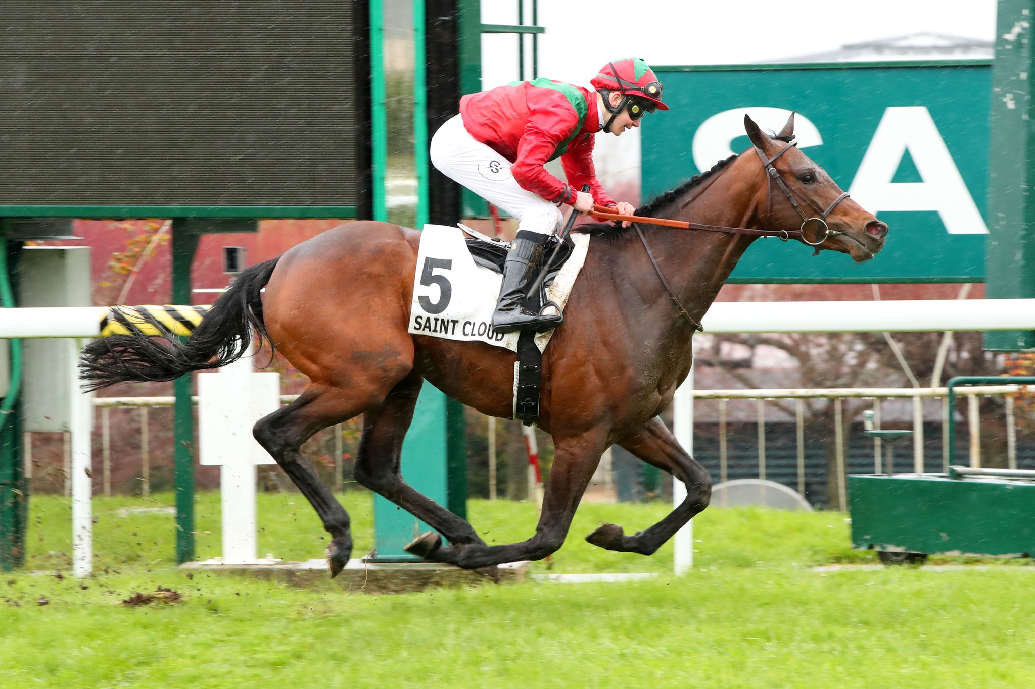 [GALOP] 12 mars 2024 - Prix Office de Tourisme de Maisons-Laffitte - Hippodrome de Saint-Cloud