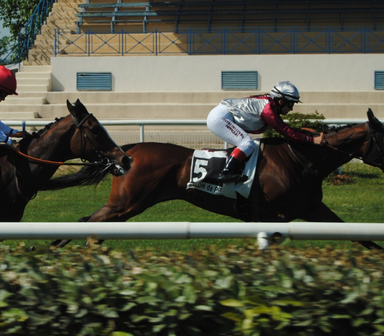 Course école [GALOP] 15 mai 2025 – Salon-de-Provence
