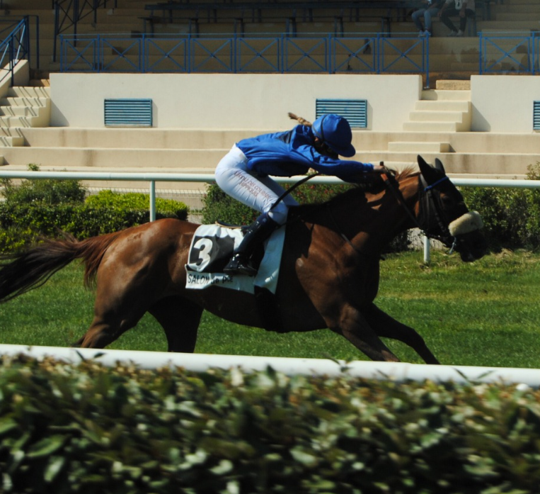 Course école [GALOP] 15 mai 2025 – Salon-de-Provence