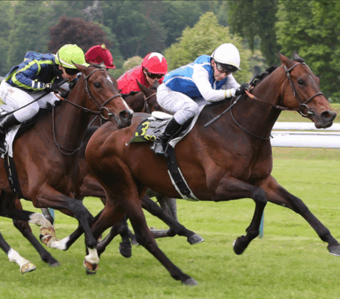 [GALOP] 21 mai 2025 – Hippodrome de Compiègne
