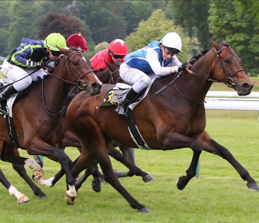 [GALOP] 21 mai 2025 – Hippodrome de Compiègne