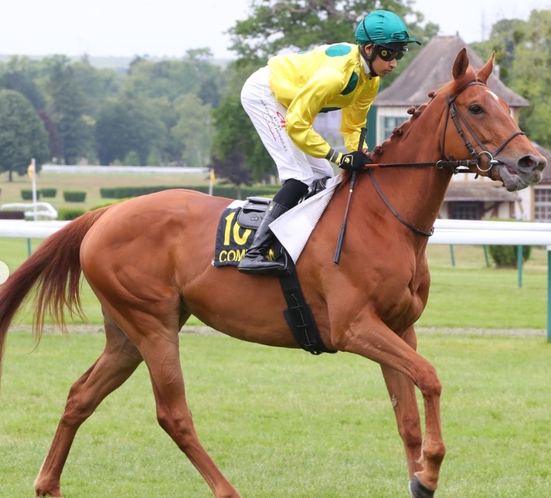 [GALOP] 21 mai 2025 – Hippodrome de Compiègne